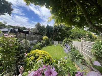 Picture 20